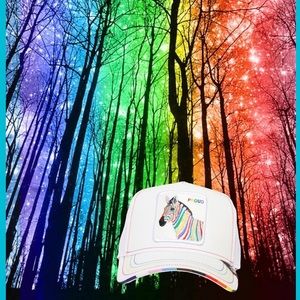 Goorin Bros Zebroy G Biv PROUD Limited Edition Pride Month The Farm Trucker Hat